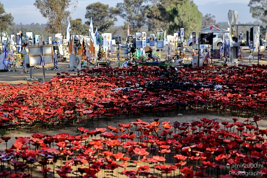 A quiet place of remembrance for the Nova Party tragedy, October 7. Standing among the trees, honoring lives lost and the hope for peace. Photographed by Amir Darzi. Photography by amir2000.nl, a Dutch photographer.