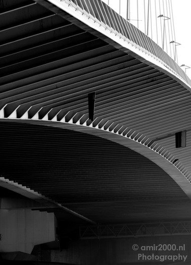 Roterdam_Architecture_038.JPG