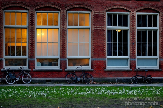 Windows_architecture_photography_Amsterdam_centrum_dutch_beauty_17.JPG