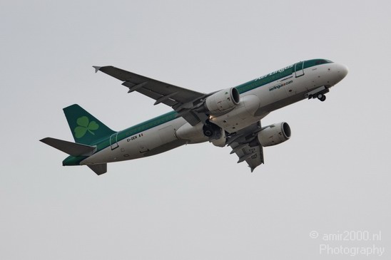 Aer_Lingus_Airline_002.JPG