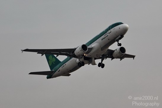 Aer_Lingus_Airline_003.JPG