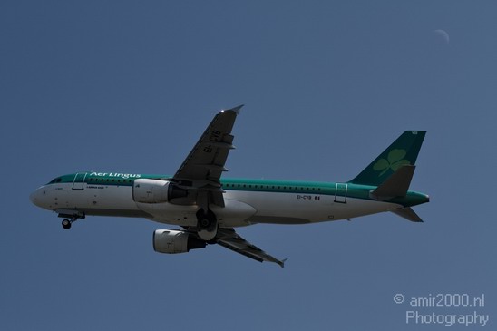 Aer_Lingus_Airline_006.JPG