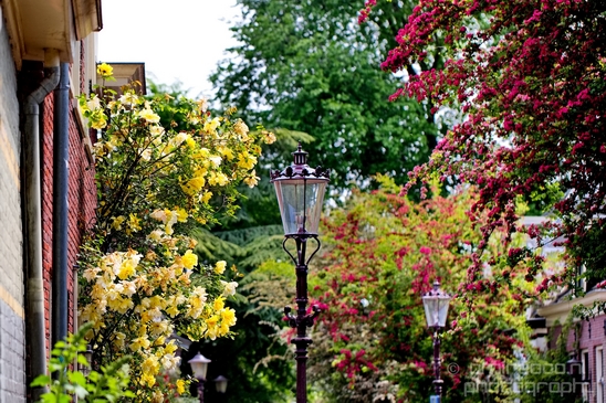 Amsterdam_Schellingwoude_Ij_city_photography_01.JPG