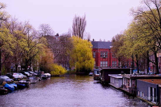 Amsterdam_city_street_photography_urban_205.JPG