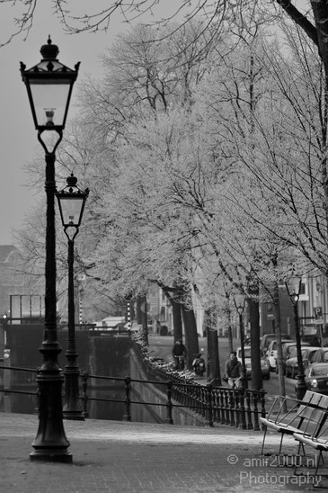 Amsterdam_winter_icy_day_fog_11.JPG