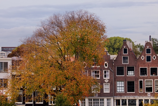 Autumn_Amsterdam_city_street_photography_urban_040.JPG