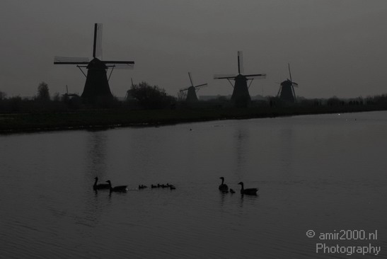 Kinderdijk_003.JPG