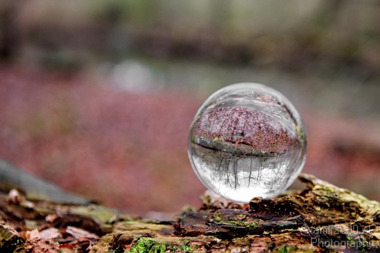 Glass_ball_photography_project_60.JPG