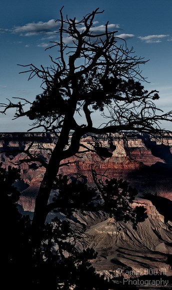 Grand_Canyon_south_rim_Arizona_usa_083.JPG