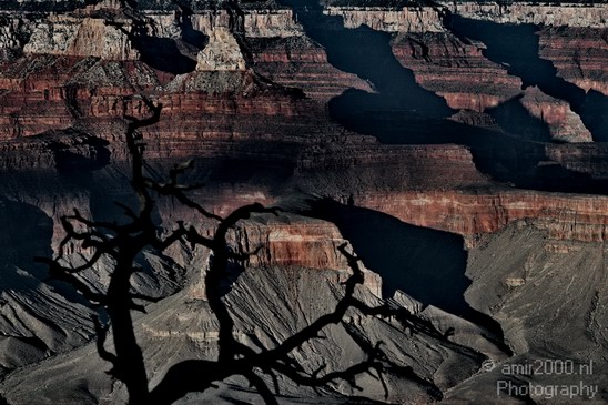 Grand_Canyon_south_rim_Arizona_usa_085.JPG