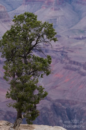 Grand_Canyon_south_rim_Arizona_usa_211.JPG