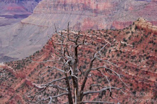 Grand_Canyon_south_rim_Arizona_usa_219.JPG