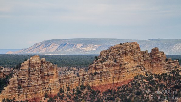 Grand_Canyon_south_rim_Arizona_usa_229.JPG