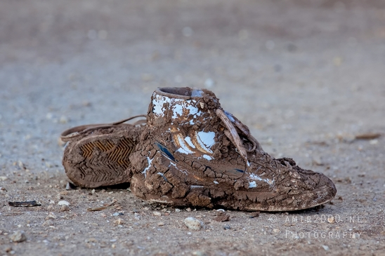 Abandoned_shoes_covered_in_mud_around_the_field_01.JPG