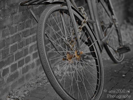 Bicycle_city_of_bikes_Amsterdam_49.JPG