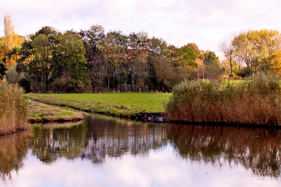 Autumn_north_holland_landscape_nature_photography_nederland_137.JPG