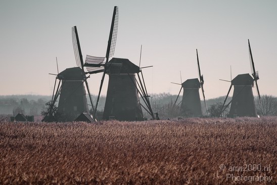 Dutch_landscape_01.JPG