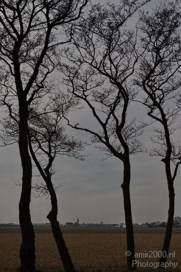 Dutch_landscape_Vogelenzang_001.JPG