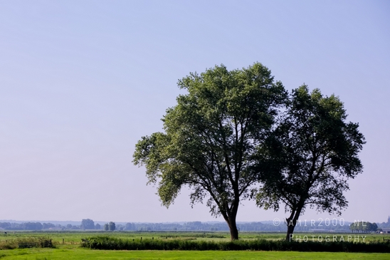 Dutch_landscape_nederlandse_landschap_summer_138.JPG