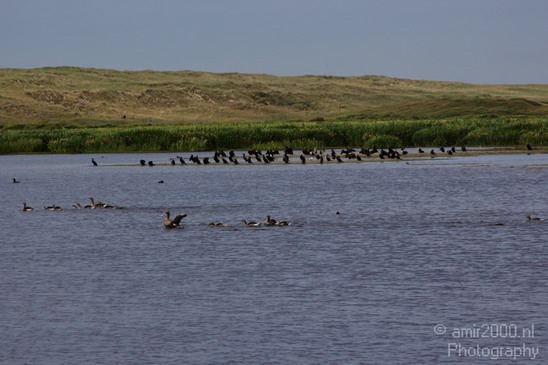 Netherlands_Landscape_008.JPG