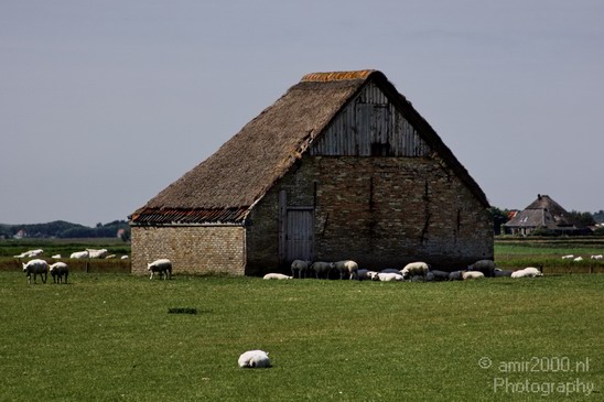 Netherlands_Landscape_014.JPG