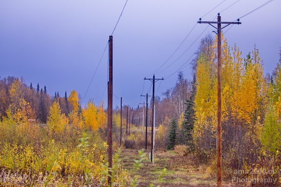 Alaska_landscape_nature_Photography_fall_autumn_124.JPG