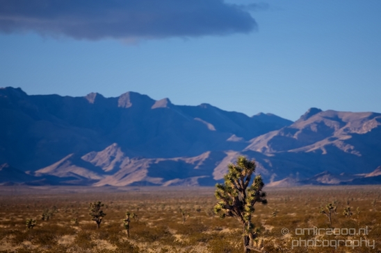 Landscape_Nature_Photography_Utah_Idaho_Nevada_USA_winter_scenery_road_trip_054.JPG