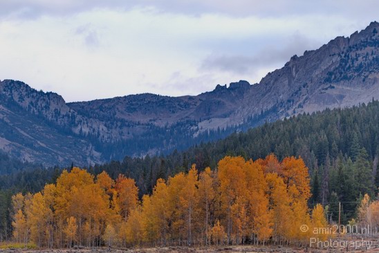 Teton_Yellowstone_national_park_usa_006.JPG