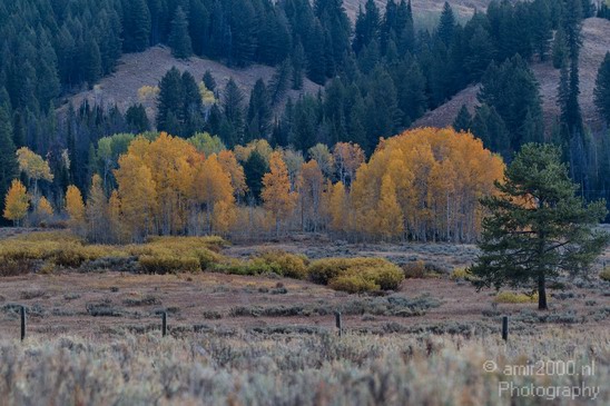 Teton_Yellowstone_national_park_usa_007.JPG