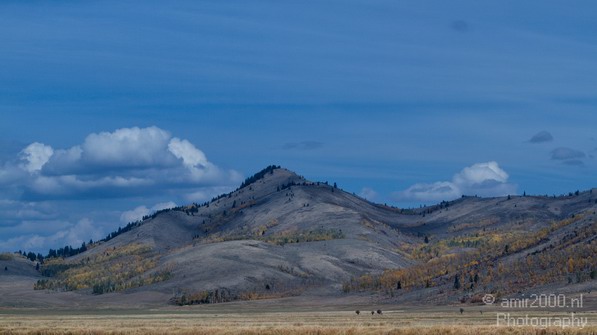 Teton_Yellowstone_national_park_usa_013.JPG