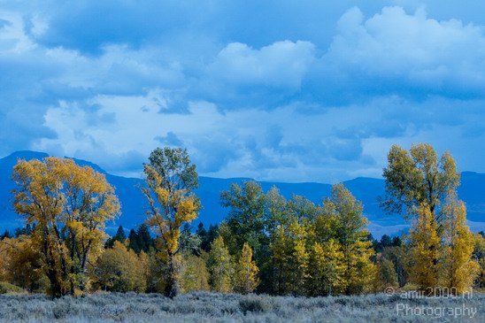 Teton_Yellowstone_national_park_usa_018.JPG