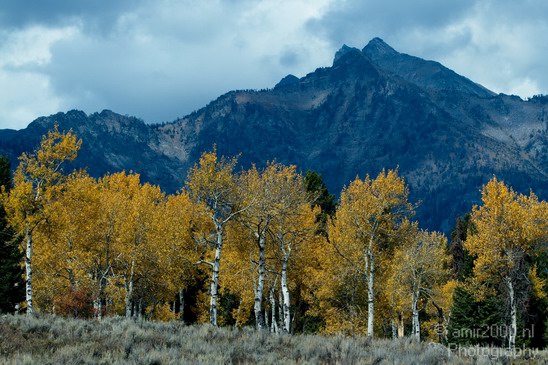 Teton_Yellowstone_national_park_usa_019.JPG