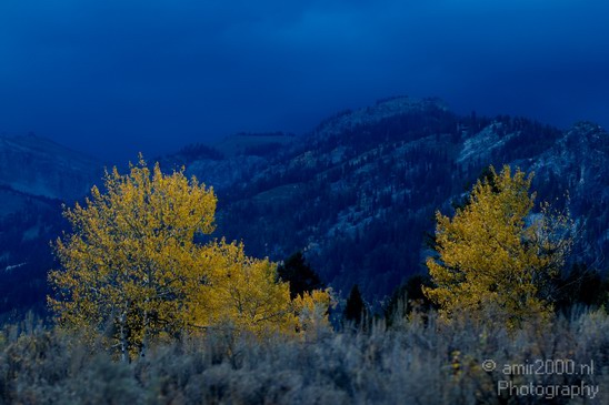 Teton_Yellowstone_national_park_usa_020.JPG