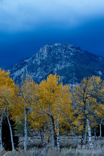 Teton_Yellowstone_national_park_usa_021.JPG