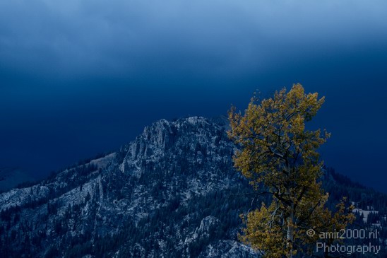 Teton_Yellowstone_national_park_usa_022.JPG