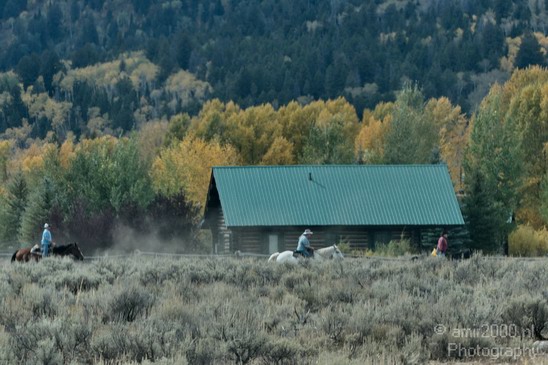 Teton_Yellowstone_national_park_usa_023.JPG