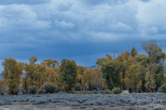 Teton_Yellowstone_national_park_usa_028.JPG