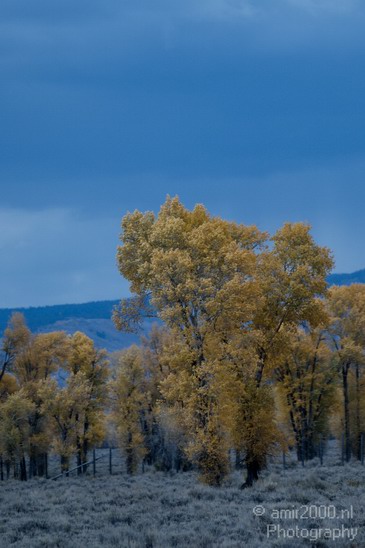 Teton_Yellowstone_national_park_usa_029.JPG