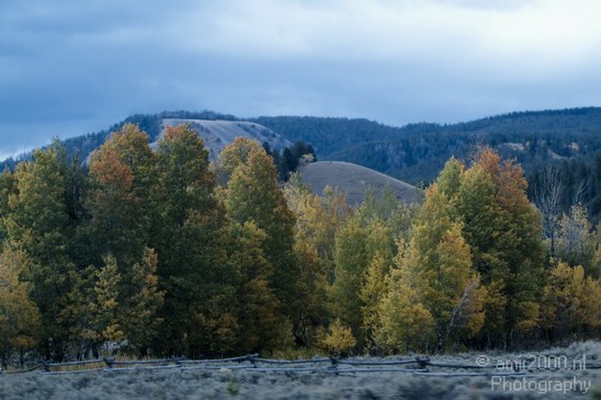 Teton_Yellowstone_national_park_usa_035.JPG