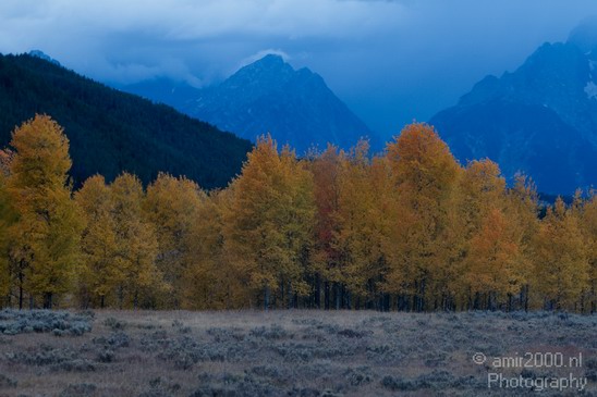 Teton_Yellowstone_national_park_usa_037.JPG