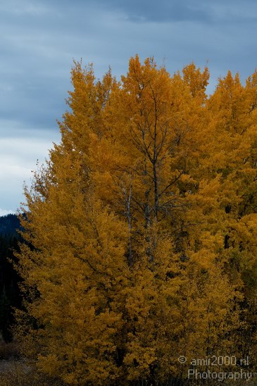 Teton_Yellowstone_national_park_usa_041.JPG