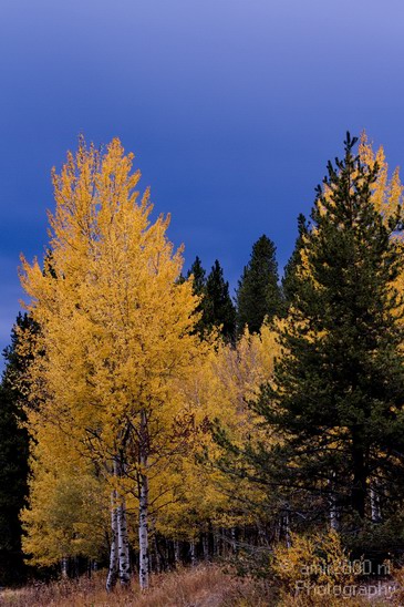 Teton_Yellowstone_national_park_usa_044.JPG